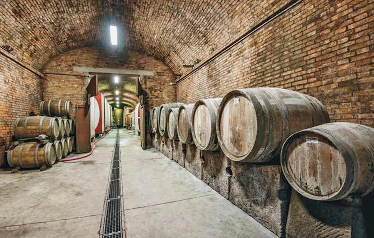 Agriturismo Fattoria Il Piano - Appartamento Focolare - San Gimignano