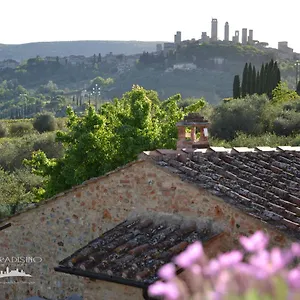 Il Paradisino San Gimignano's Best Countryside Apartament